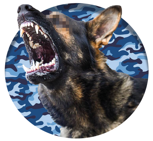 Auftragkillachenz Boutique